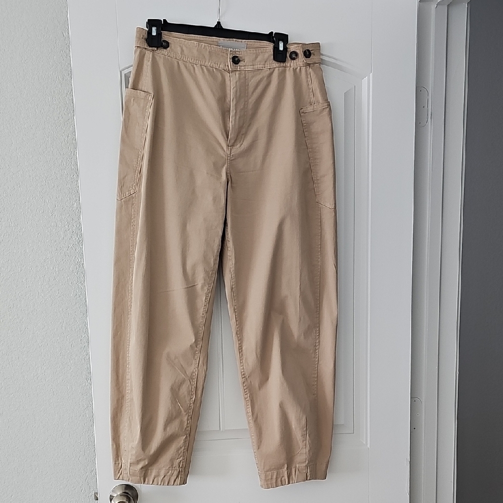 Everlane Fatigue Barrel Pants
